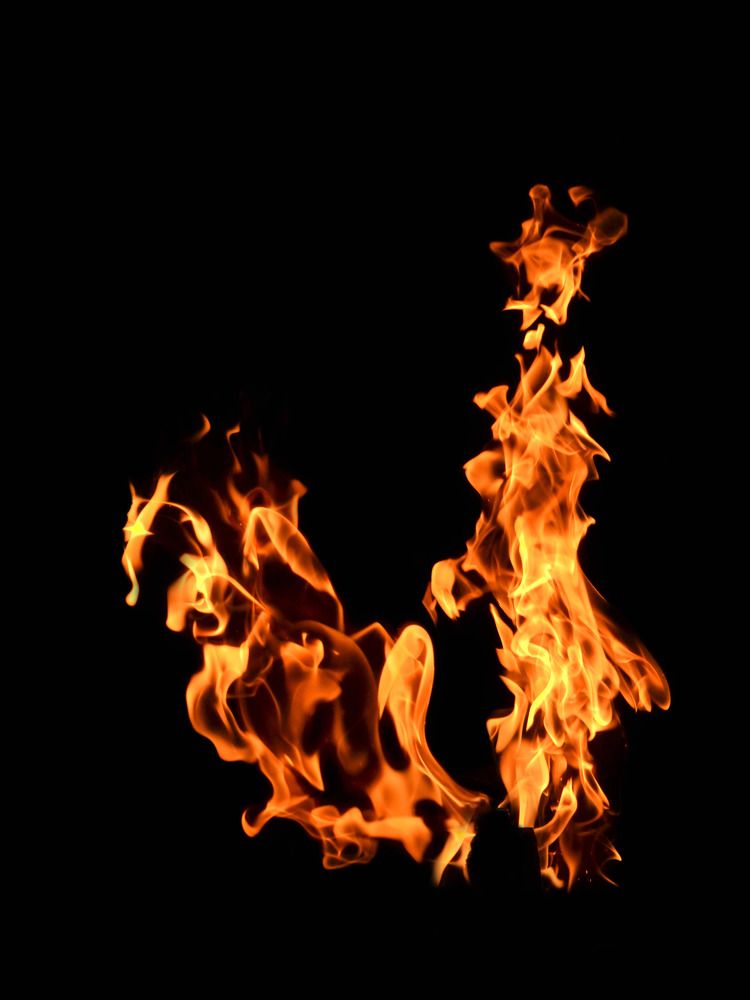 старушка с попугаем