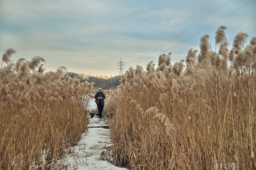 Photograph by Константин Мишнаевский