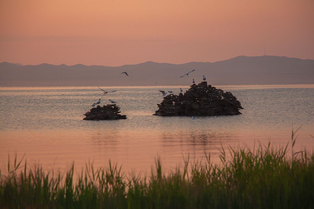 Photograph by Ольга Белова