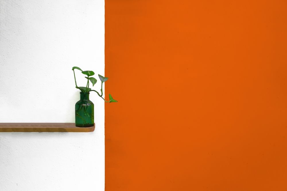 Photograph by negar zomorrod