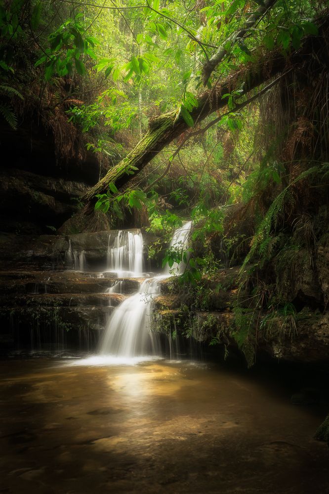 Фотография автора jason lu