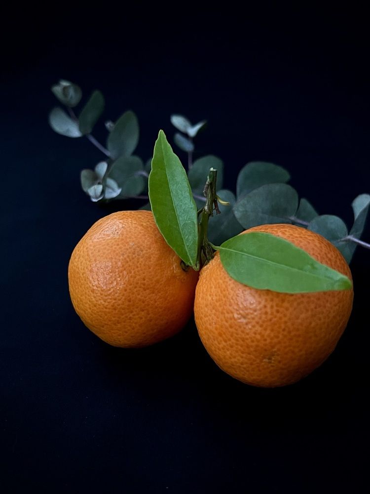 Фотография автора Ирина Мосько