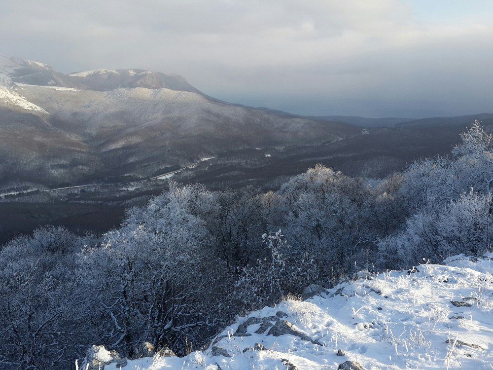 Photograph by Дарья Расшивина