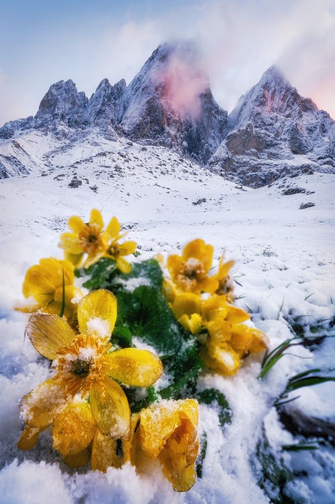 Photograph by Ирина Мошковская