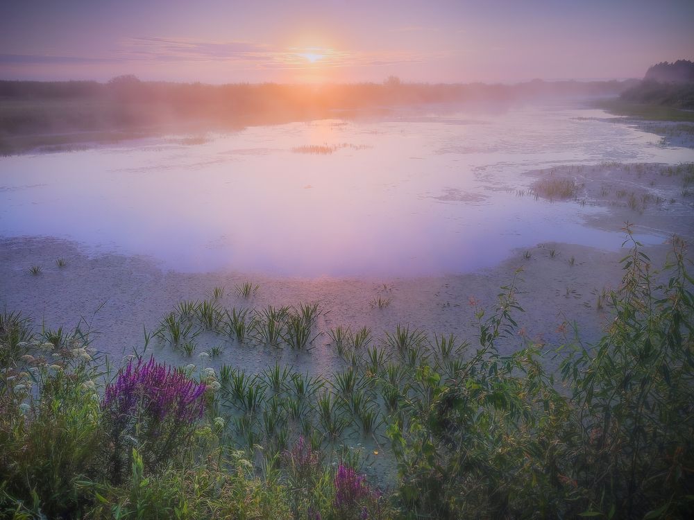 Photograph by Илья Толстоноженко