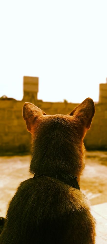 Friendly Neighborhood Batman