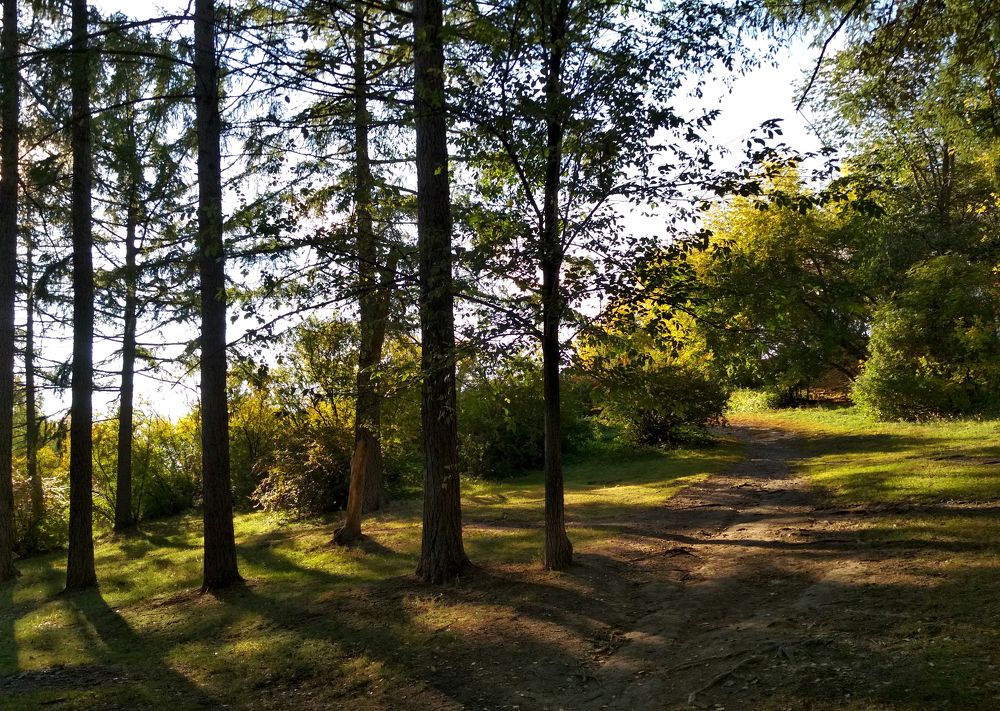 Photograph by Баженова Наталья