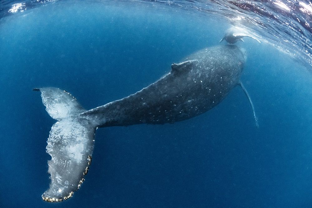 Photograph by KURASHIMA DAISUKE