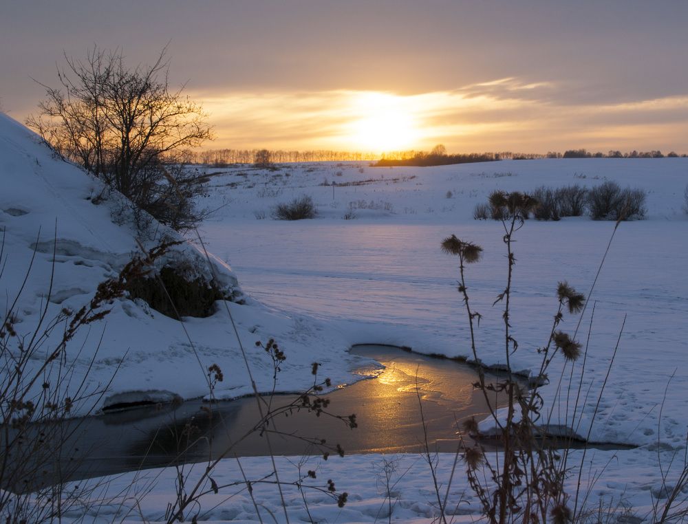 Photograph by Дубровин Николай