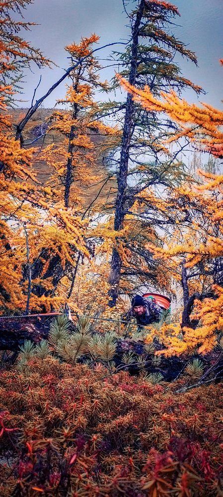 Photograph by Aleksandr