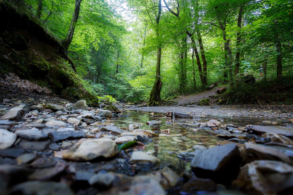 Photograph by Алексей Трифонов