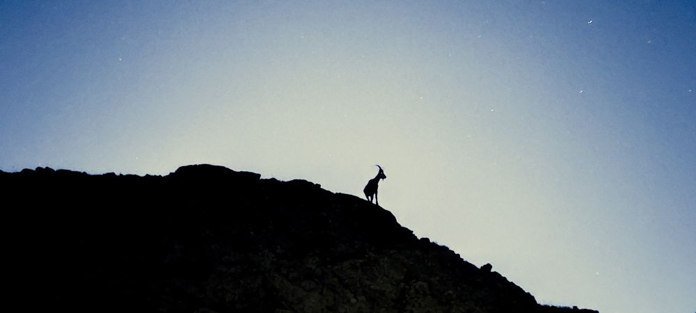 Photograph by Aleksandr