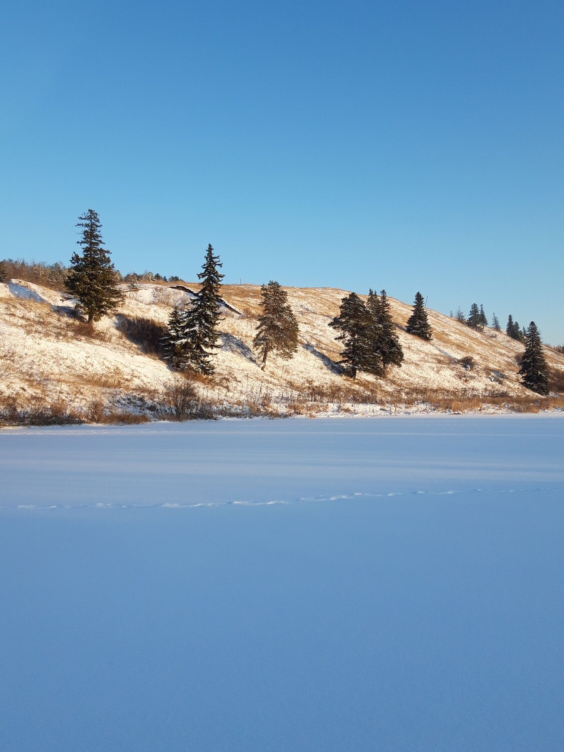 Photo #8543339