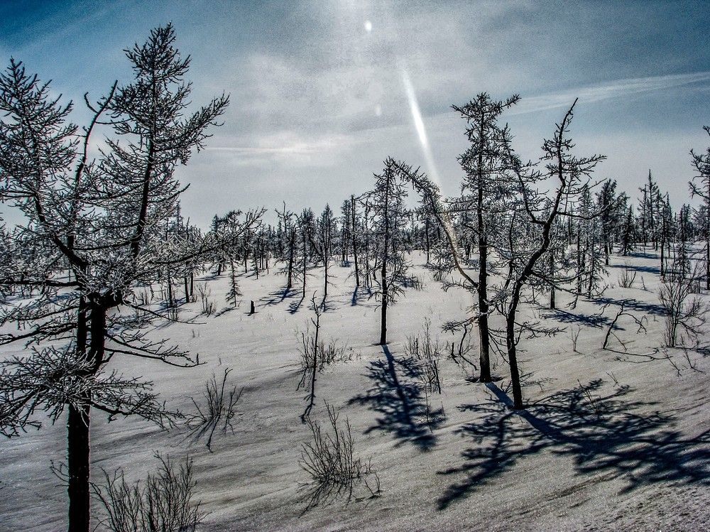 Photograph by Алексей Логинов