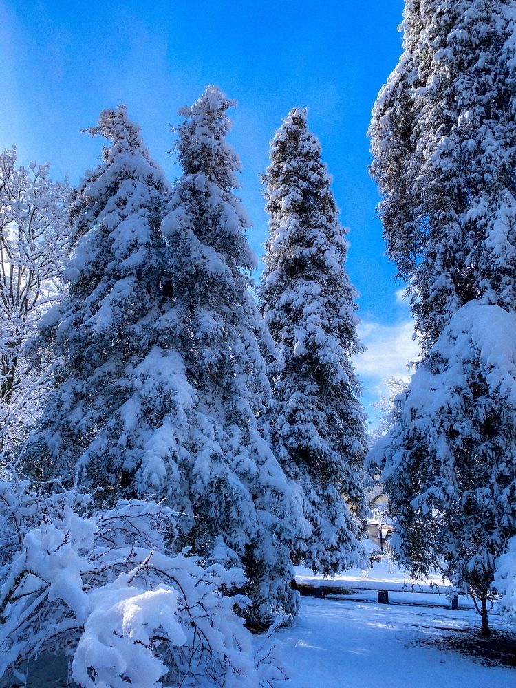 Photograph by Александра Тамбовцева