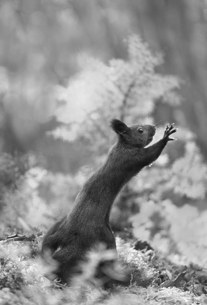 Photograph by Евгения Левина