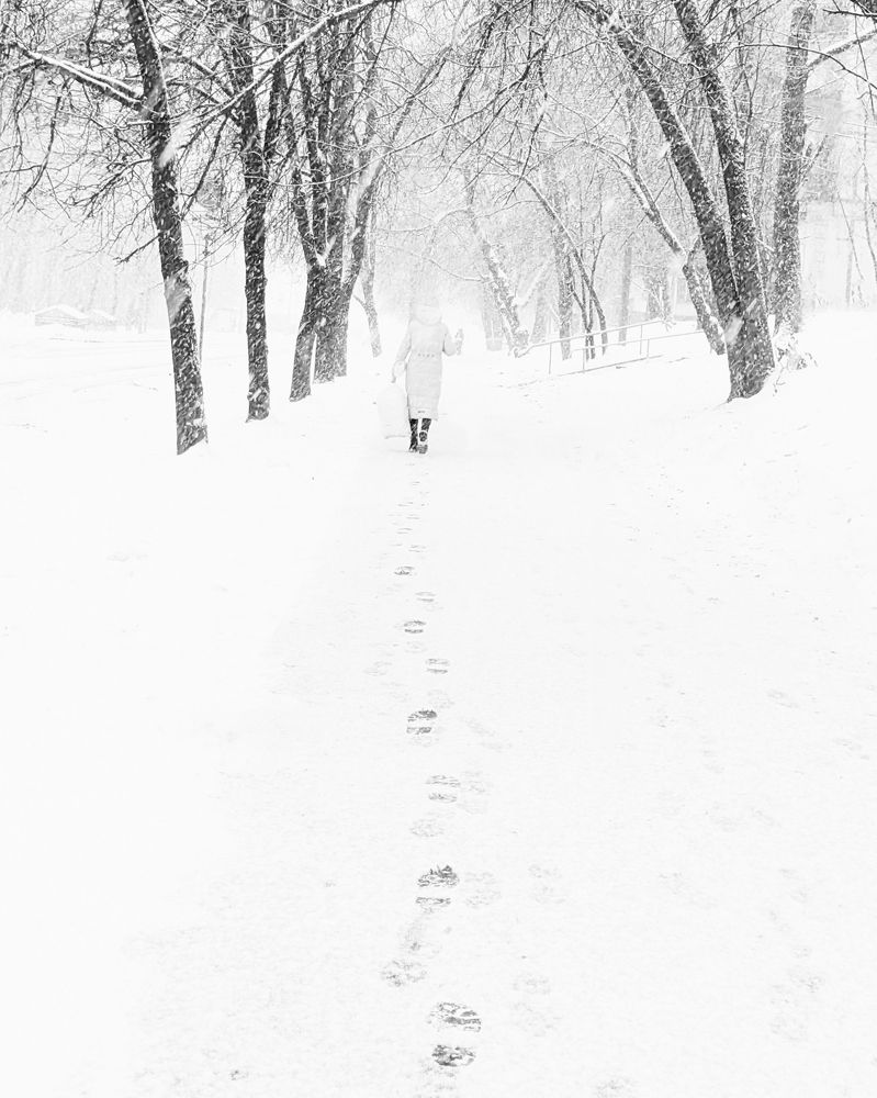 Photograph by Алексей Худяков