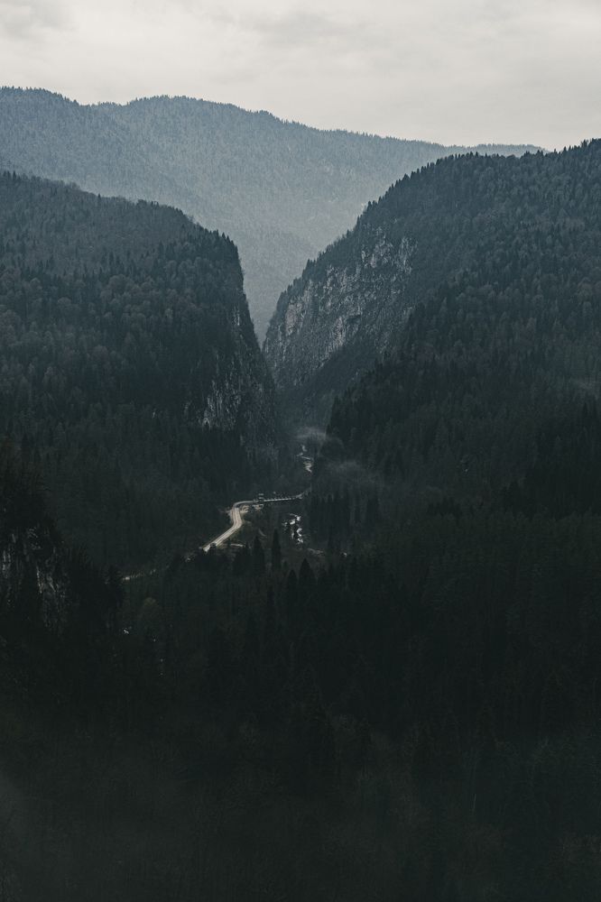 Photograph by Дмитрий Задунайский