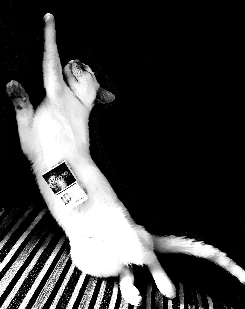 Photograph by Bauyrzhan Saukhatov