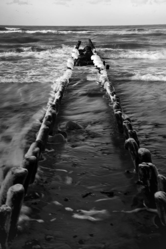 Photograph by 