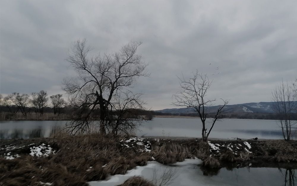 Фотография автора Оксана Белозерская