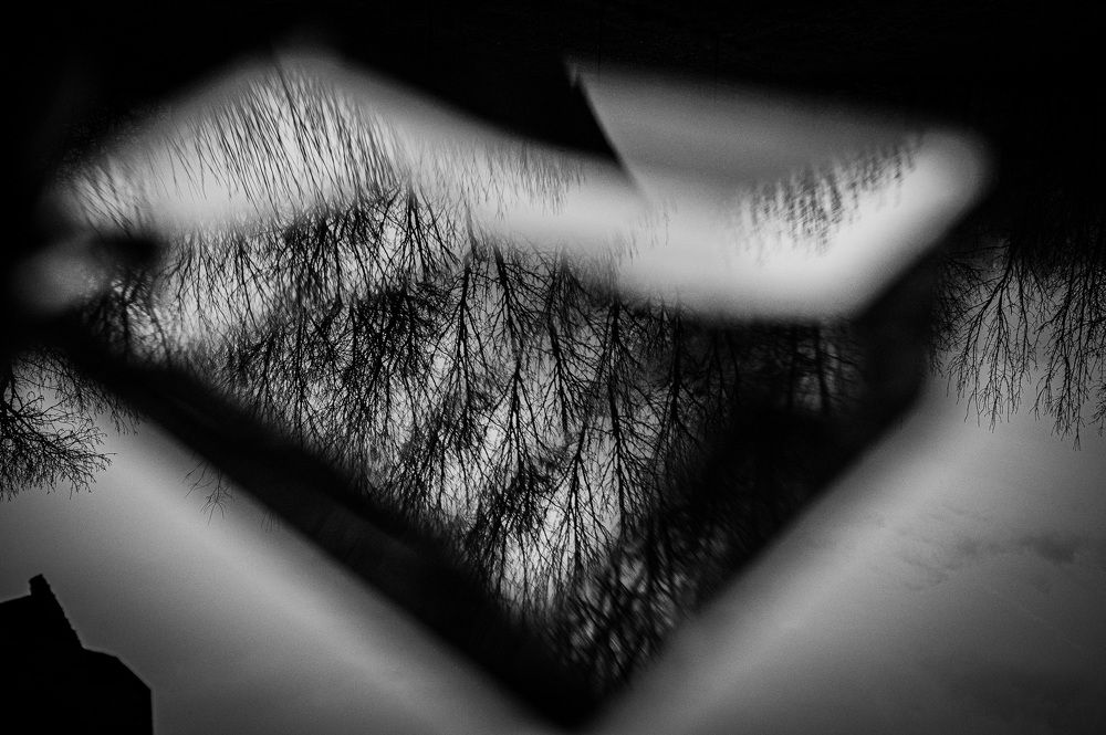 Фотография автора Анна Бориснёва