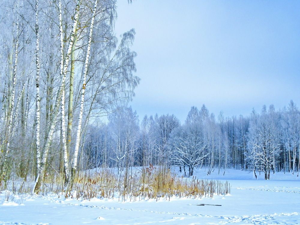 Photograph by Виталий Симоненков