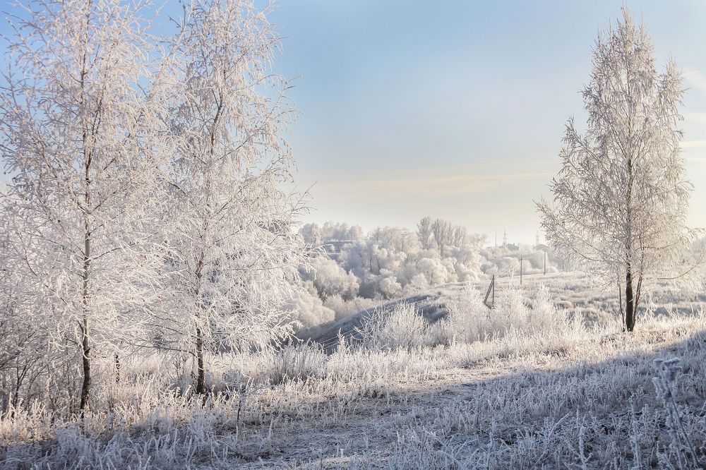 Photograph by Svetlana Karnauh Карнаух