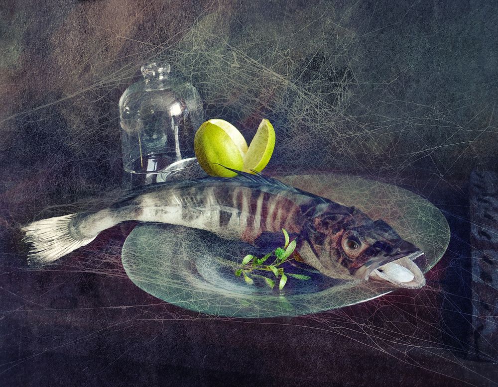 Фотография автора Vera Eremeeva