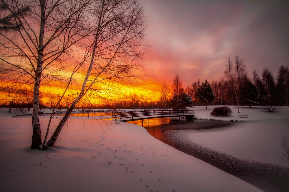 Photograph by andrei zorin