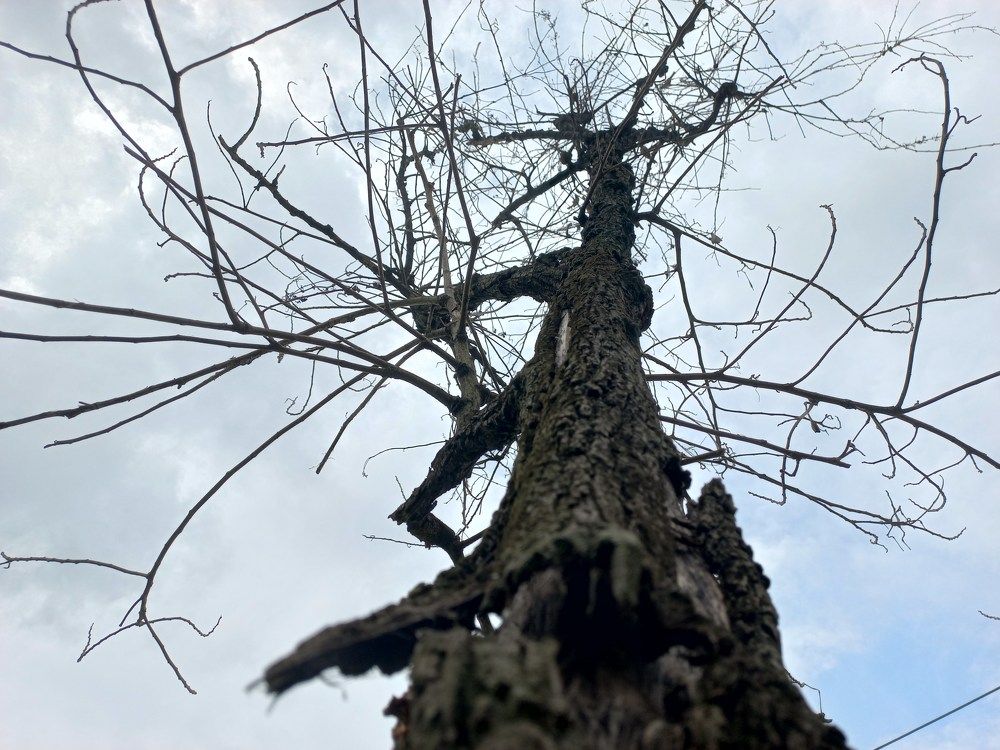 Photograph by Pujo Cahyono