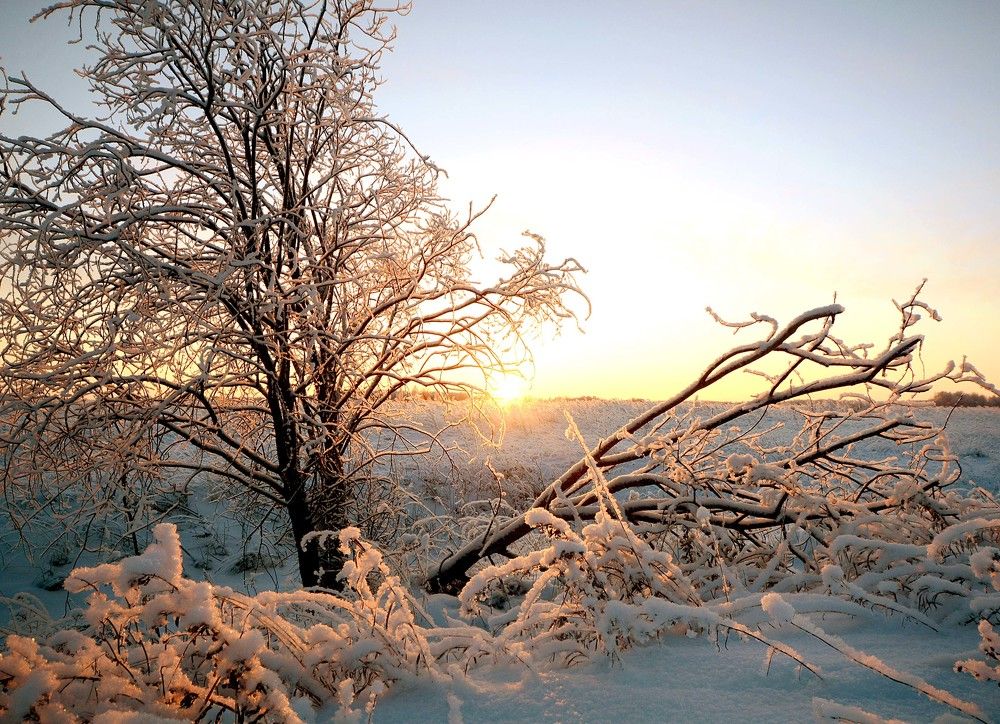 Photograph by Михаил Белоусов