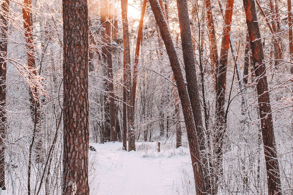 Photograph by Татьяна