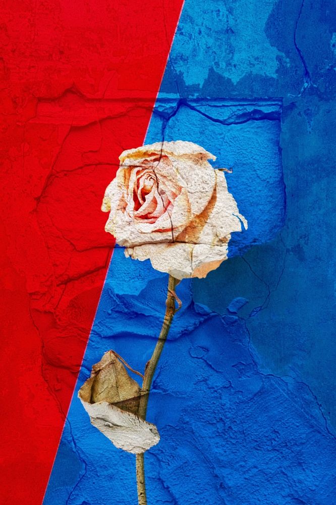 Photograph by Ирина Чиркина