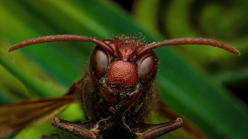 Photograph by Atharv Baravkar