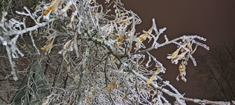 Photograph by Злата Иванченко