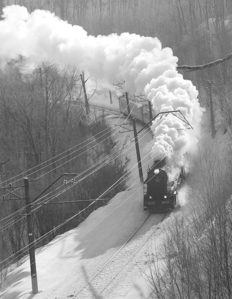 Фотография автора Татьяна Шебаршенко