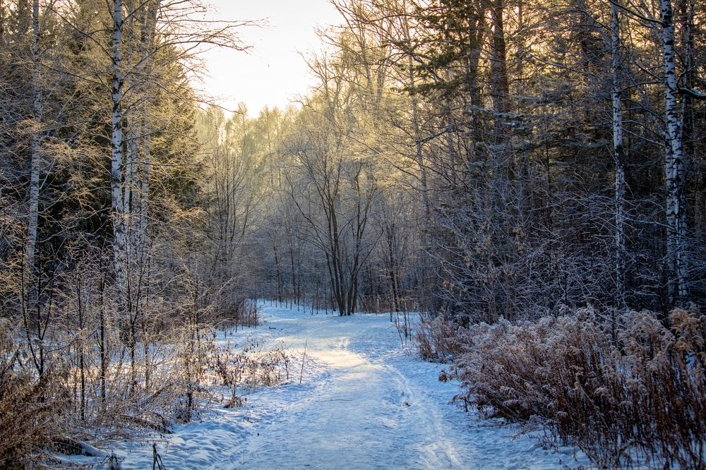 Фотография автора Анна Широкова