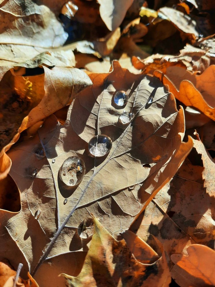 Photograph by Ирина Валерьевна Холодная