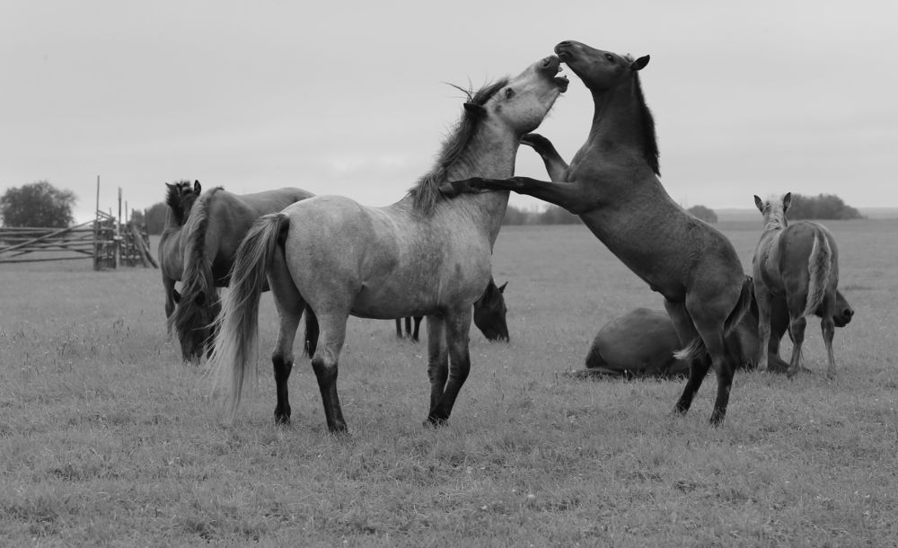 Фотография автора Юрий Кетель