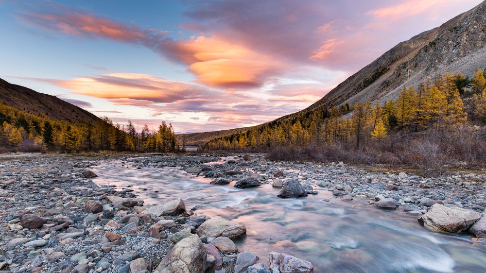 Фотография автора Борис Коновалов