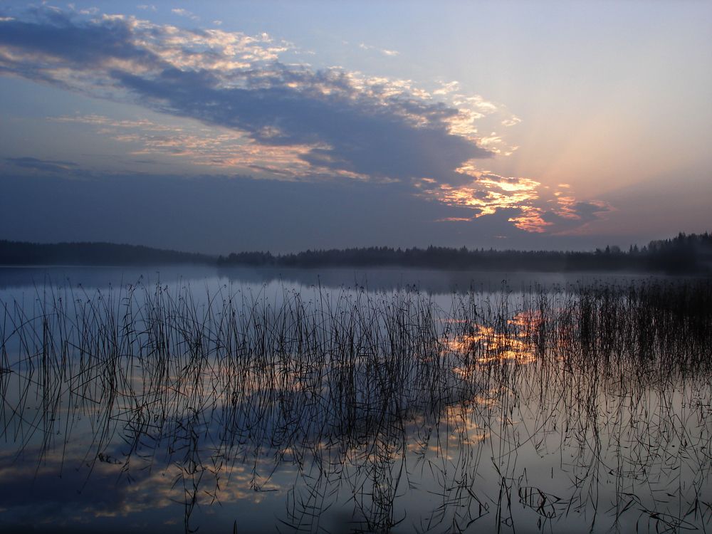 Photo #8544177