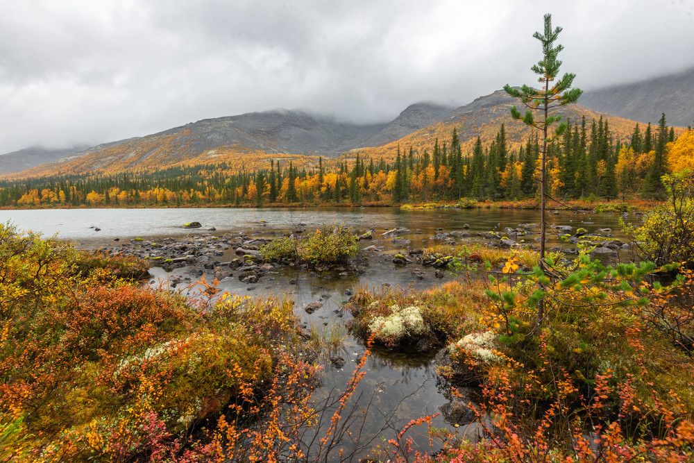 Photograph by Владимир Брагилевский