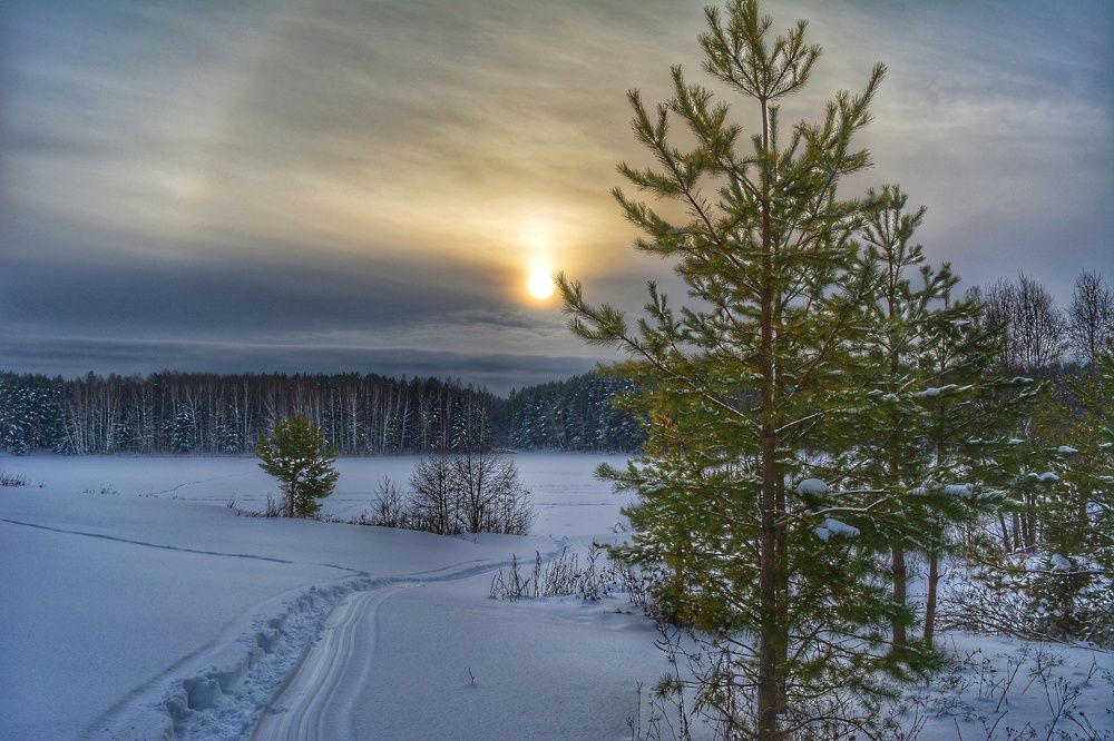 Photograph by Наталья Светлова