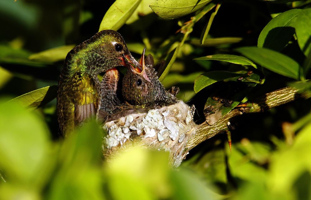 Photograph by Juan Carlos Hernández