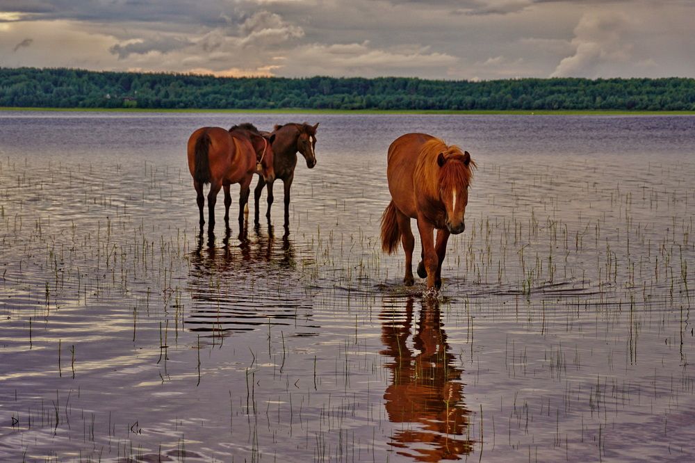 Photograph by Евгений Жиляев