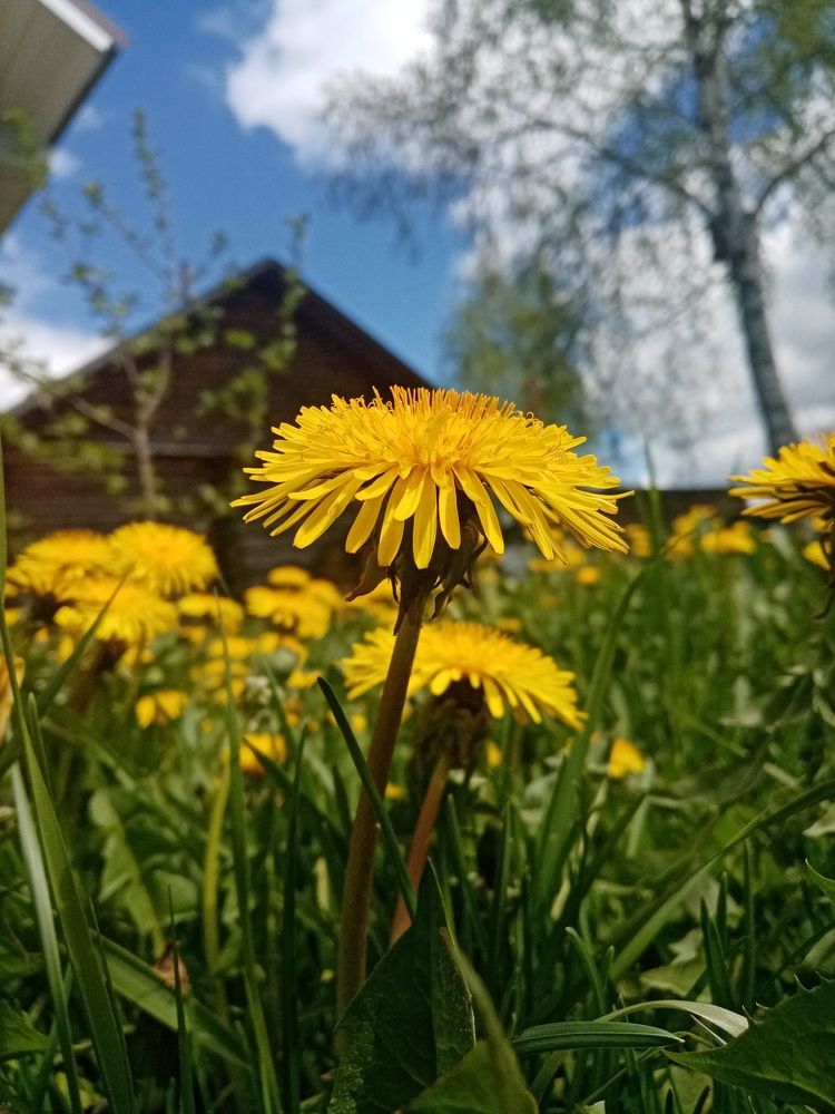 Photograph by Ксения Груздева