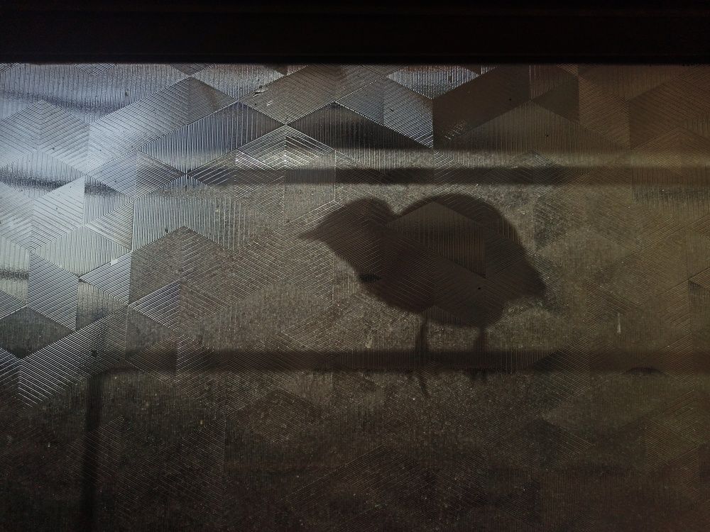 Photo #8544406