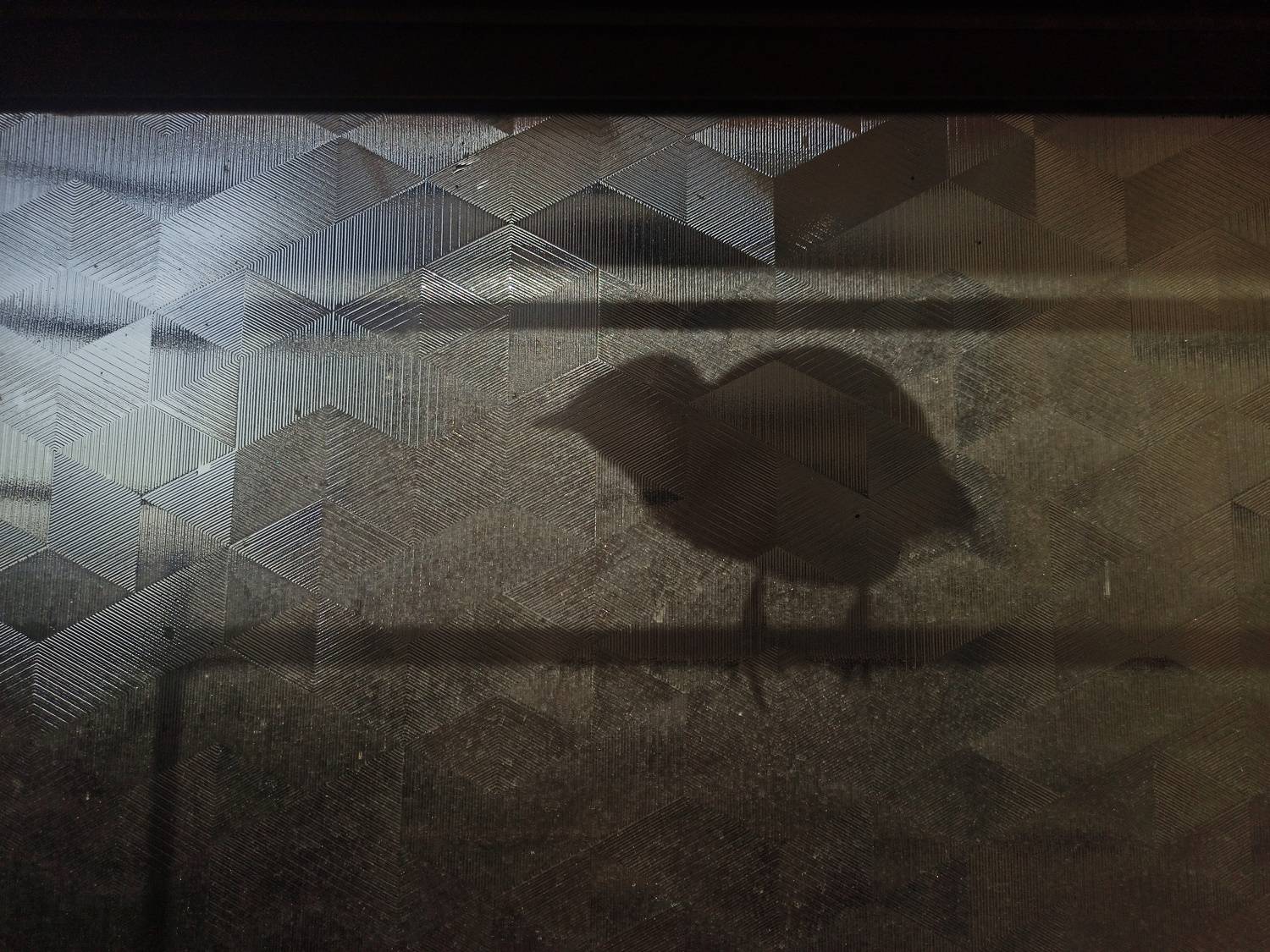 Photo #8544406