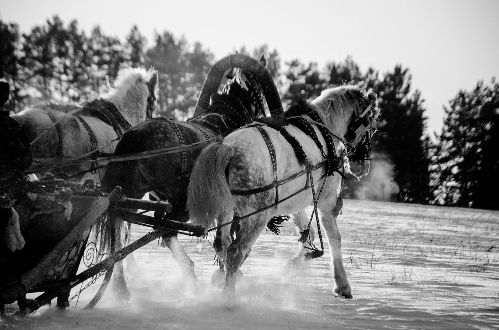 Photograph by Елена Коновалова